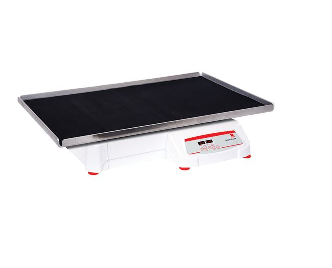 美國奧豪斯，OHAUS，脫色搖床，回旋振蕩器，圓周振蕩器，大負(fù)載圓周式搖床，SHHD6850DG