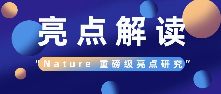 盤點(diǎn)：1月份Nature雜志不得不看的重磅級(jí)亮點(diǎn)研究！